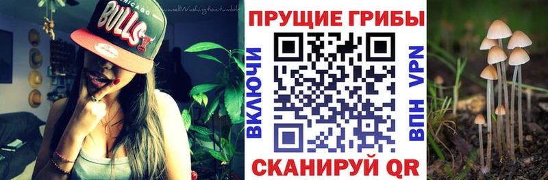 Галлюциногенные грибы MAGIC MUSHROOMS  Томилино 